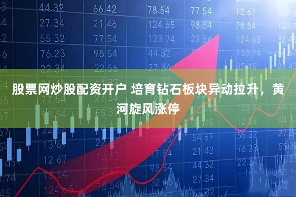 股票网炒股配资开户 培育钻石板块异动拉升，黄河旋风涨停