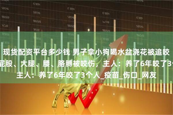 现货配资平台多少钱 男子拿小狗喝水盆浇花被追咬，衣服裤子都破了，屁股、大腿、腰、胳膊被咬伤，主人：养了6年咬了3个人_疫苗_伤口_网友