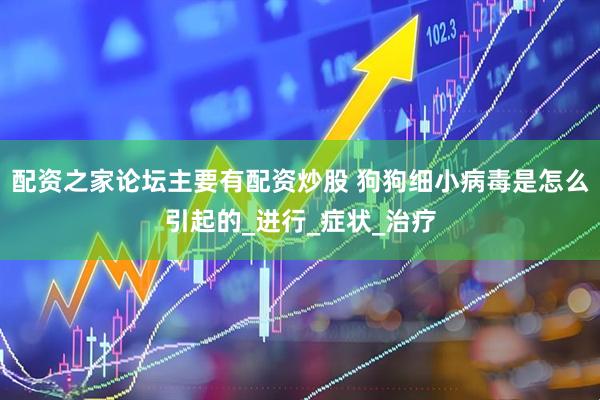 配资之家论坛主要有配资炒股 狗狗细小病毒是怎么引起的_进行_症状_治疗